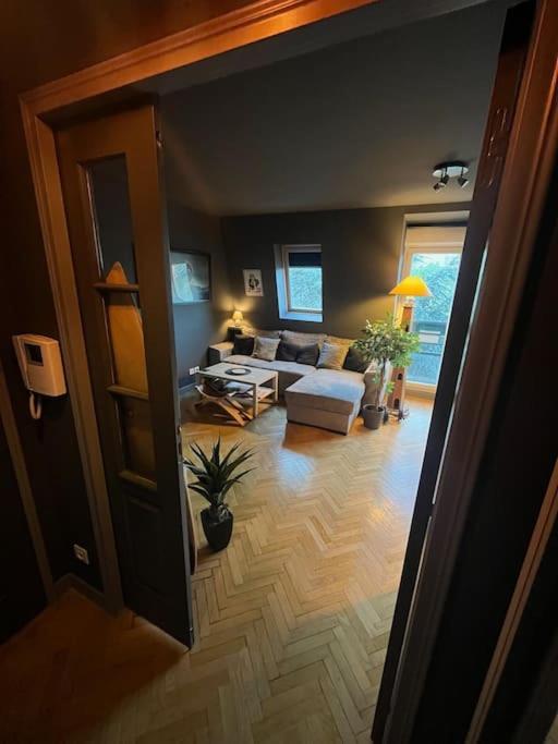 Appartement Cosy Le Chesnay Le Chesnay  Esterno foto
